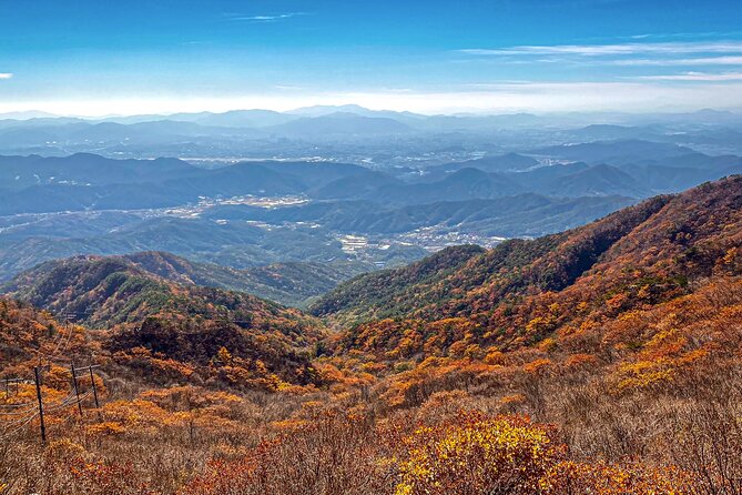 Palgongsan Natural Park Autumn Foliage One Day Tour From Busan - Important Reminders and Notes