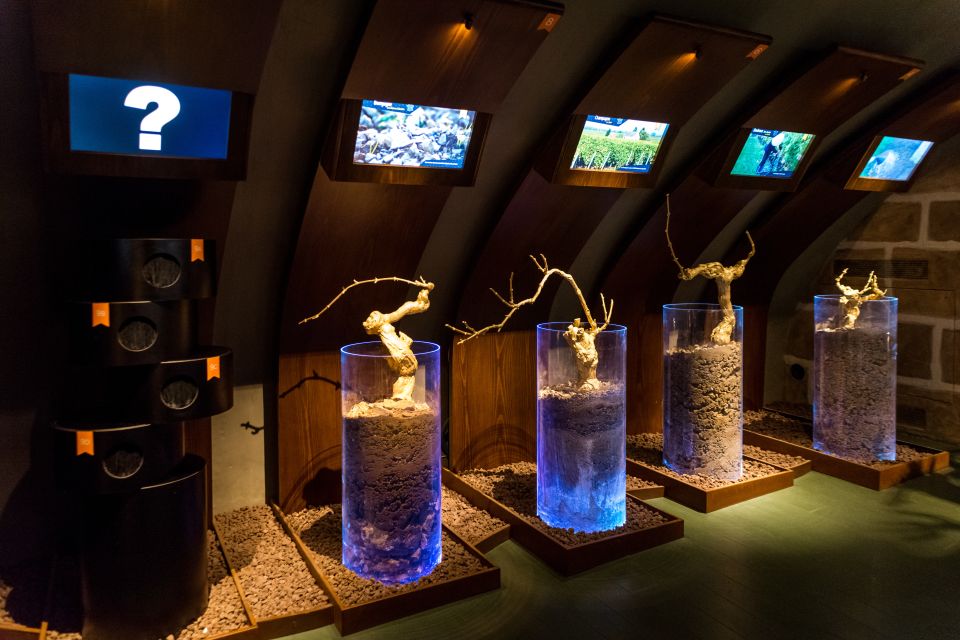 Paris: Wine Museum Guided Tour With Wine Tasting - Interactive Elements and Surprises