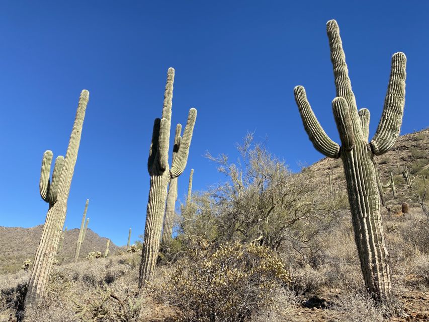 Phoenix: Sonoran Desert Guided Hiking Adventure - Common questions