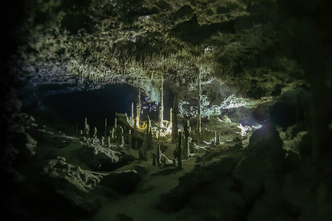 Playa Del Carmen Private Cenote Two Dives for Certified Divers - Additional Traveler Resources