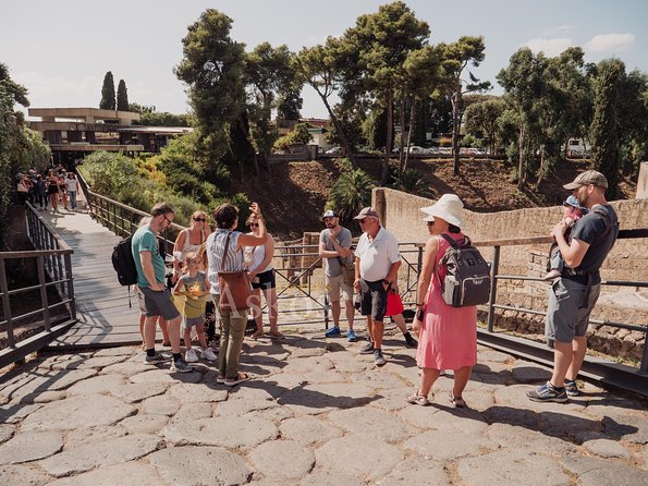 Pompeii and Herculaneum Led by an Archaeologist With Private Transport - Additional Information