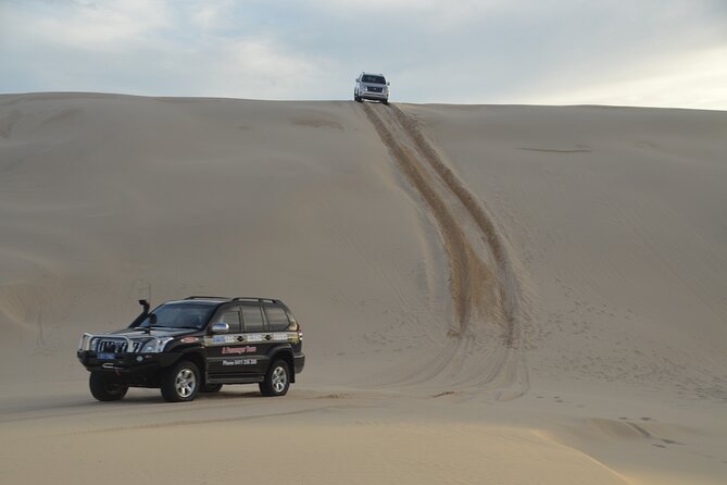 Port Stephens, Beach and Sand Dune 4WD Tag-Along Tour - Reviews and Testimonials