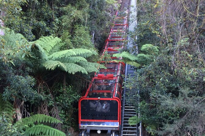 Private 1 Day Full Blue Mountains Tour Koalas Cruise Return - Whats Included in the Tour