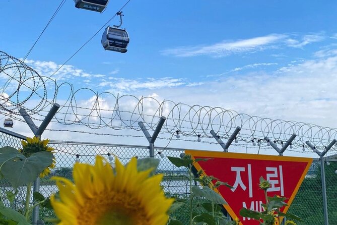 [Private] DMZ & Imjingak Peace Gondola Experience Inter-Korean War - Cancellation and Refund Policy