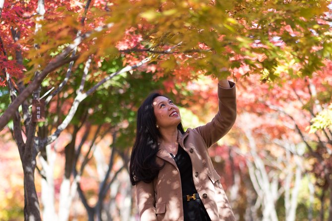 Private Nami Island Photo Shoot and Tour With a Photographer - Cancellation and Refund Policy