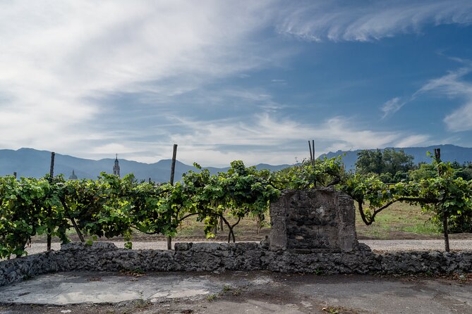 Private Pompeii Wine Tasting With Lunch - Additional Tips for a Memorable Visit