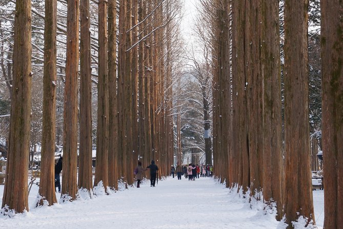 [Private Tour] Organic Strawberry Farm & Nami Island & Petite France - Cancellation and Refund Policy