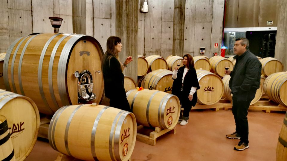 Ribera Del Duero Wine Region Private Tour - Customer Reviews