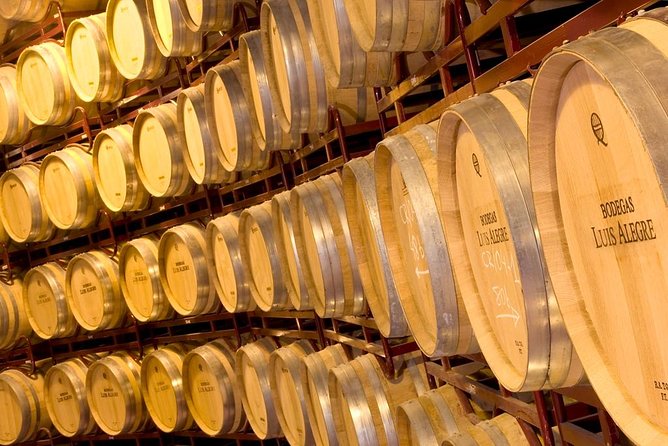 Rioja Wine Tour: 2 Wineries From Bilbao - Booking Information