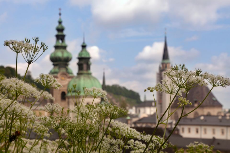 Salzburg: First Discovery Walk and Reading Walking Tour - Customer Feedback and Ratings