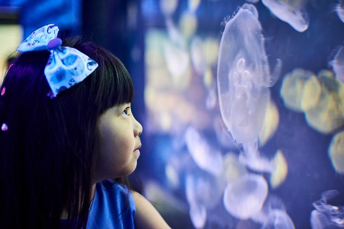 SEA LIFE Melbourne Aquarium Admission Ticket - Cancellation Policy and Rules