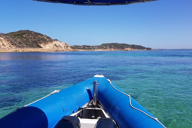 Seal and Dolphin Watching Eco Boat Cruise Mornington Peninsula - Tour Logistics and Parking