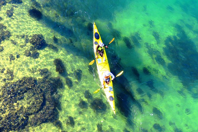 Self-Guided Sydney Middle Harbour Kayak 3 Hour Tour by Double Kayak - Cancellation and Refund Policy