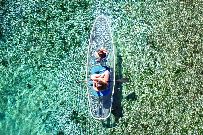 Silver Springs: Clear Kayak Wildlife Adventure - Weather and Tour Operations