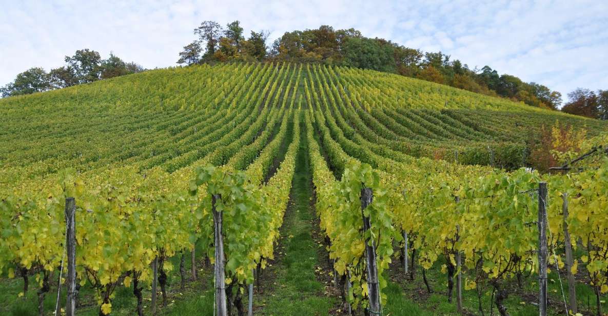 Small Group Guided Tour Champagne by Van Meet Local Producer - Additional Information