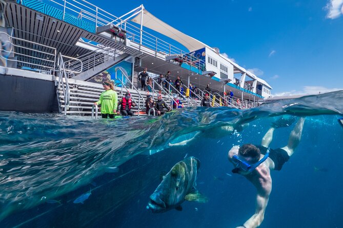 Snorkel & Dive the Reef: Sustainable, Scientific & Cultural Tour - Unforgettable Activities and Options