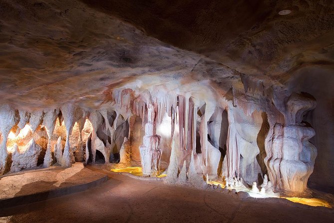 Springbrook Andtamborine Rainforest Tour Incl Natural Bridge and Glow Worm Cave - Review and Rating Summary