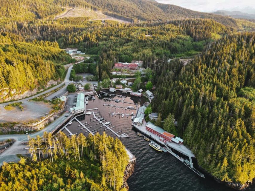 Telegraph Cove: Half-Day Kayaking Tour - Important Information