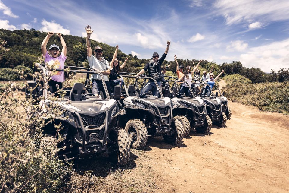 Tenerife: Costa Adeje Buggy Tour With Cheese and Wine - Activity Description and Customer Review