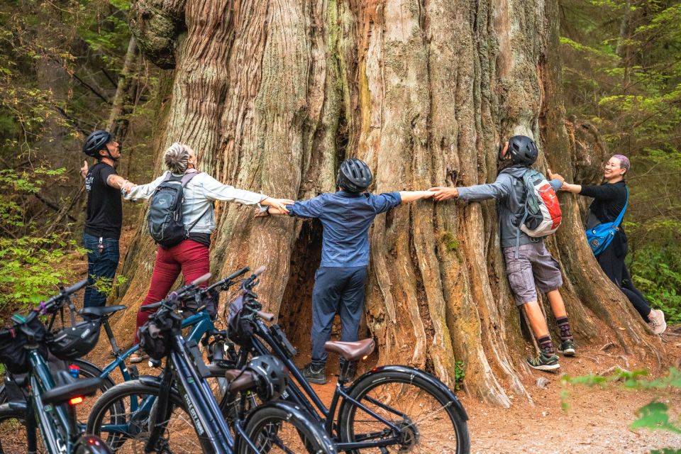 Vancouver: Stanley Park Bicycle Tour - Booking and Cancellation