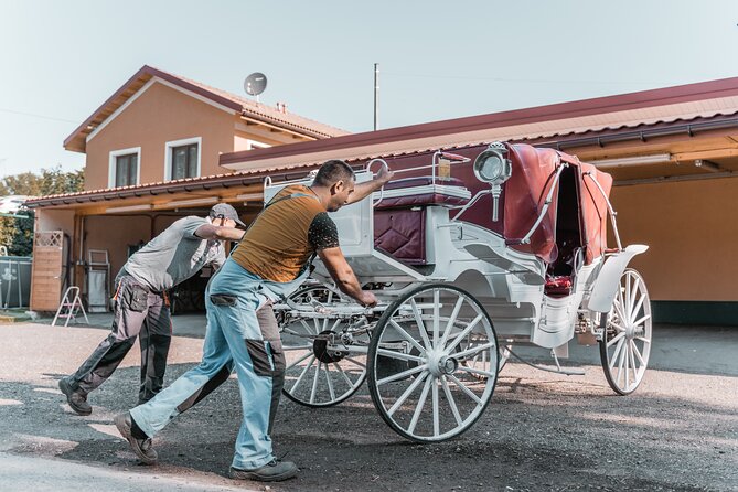 Vienna Horse-drawn Carriage Guided Tour - Customer Experiences