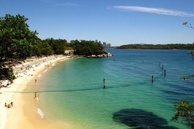 Watsons Bay Walking Tour and Surf Lesson at Bondi Beach - Bondi Beachs Surfing Culture