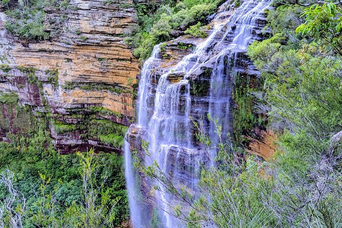 Wilderness, Waterfalls, Three Sisters BLUE MOUNTAINS PRIVATE TOUR - Rave Reviews and Ratings