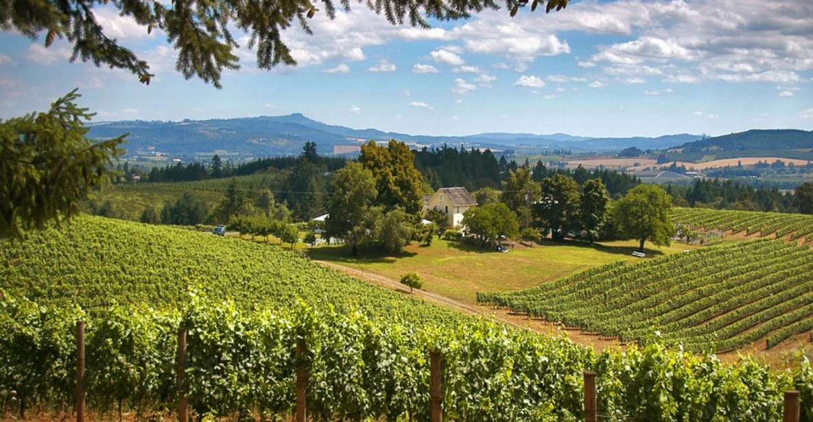 Willamette Valley Wine Tour: a Journey for the Senses - Sensory Journey Through Willamette Valley