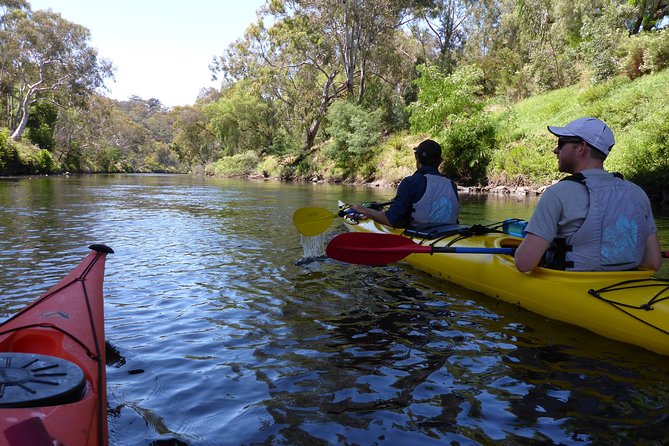 Yarra River Kayak Hire - Yarra River Kayak Hire Benefits