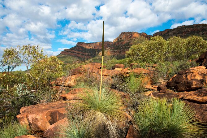 6-Day Eyre Peninsula & Flinders Ranges Adventure Tour - Accommodation and Transport