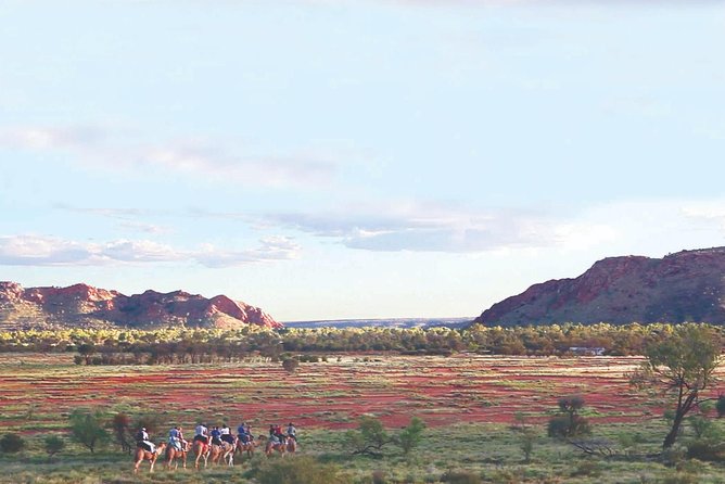 Alice Springs Camel Tour - Cancellation and Refund Policy