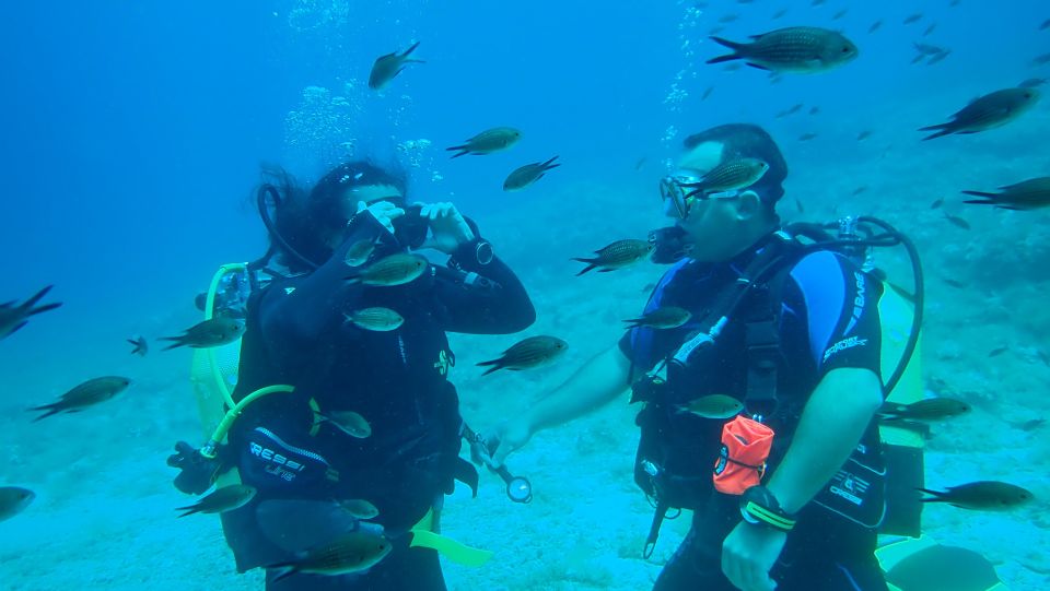 Andros: Get Your Padi Open Water Certificate! - Additional Details