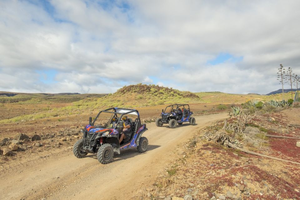 Anfi Beach: Guided Buggy Tour. - Common questions