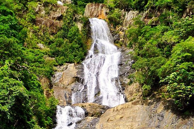 Barron Gorge and Kuranda National Park Half Day Rainforest and Waterfall 4WD Tour From Cairns - Operator Details and Credentials