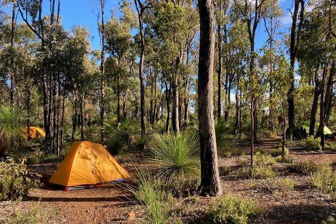 Bibbulmun Track Multi-Day Hike and Camp to the Darling Range - Reviews and Ratings