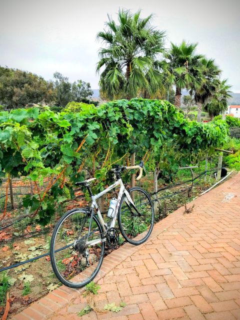 Bike and Wine Tasting Across the Guadalupe Valley - Important Information