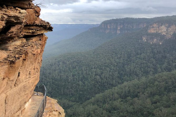 Blue Mountains Carbon Neutral Day Trip From Sydney - Meeting the Koalas and Friends