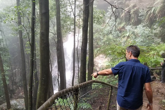 Blue Mountains Highlights, Wildlife Park and Scenic World Full Day Private Tour - Reviews and Testimonials