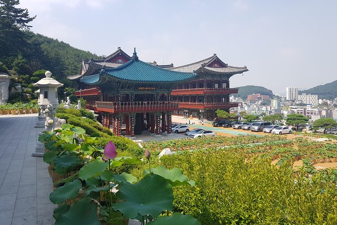 Busan Shore Excursion Tour With Gamcheon Culture Village - Cancellation Policy and Refunds