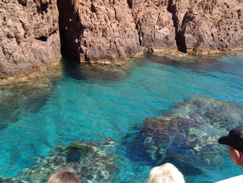 Cargèse:Scandola/Piana/Stop in Girolata Half-Day on RIB Boat - Final Words