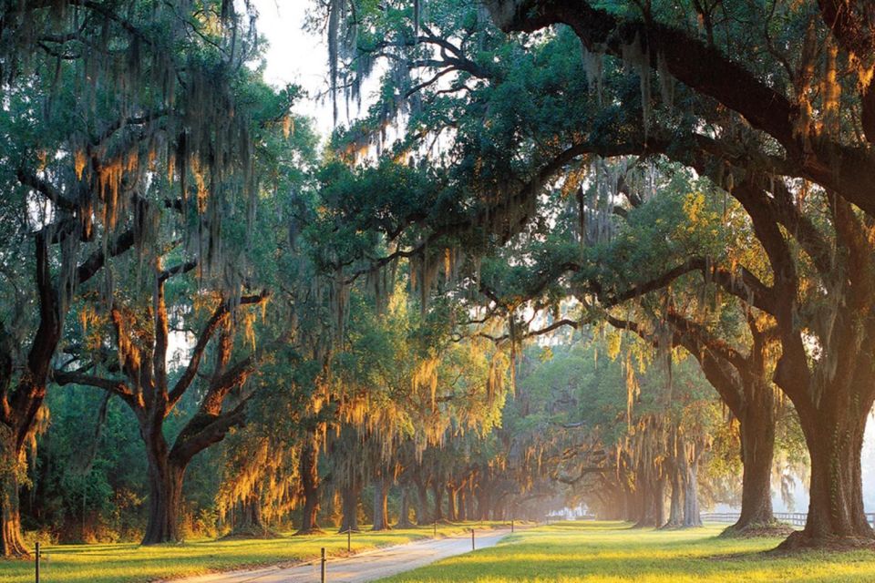 Charleston: Boone Hall & Historic City Tour Combo - Meeting Point Information