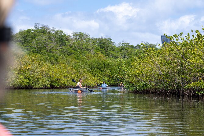 Clear Kayak Tour in North Miami Beach - Mangrove Tunnels - Final Words