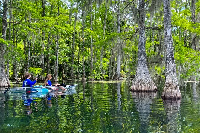 Clear Kayaking Eco Adventure Tour in Marianna - Common questions