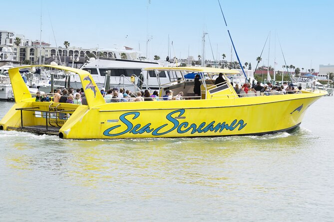 Clearwater Beach Dolphin Speedboat Adventure With Lunch & Transport From Orlando - Traveler Reviews