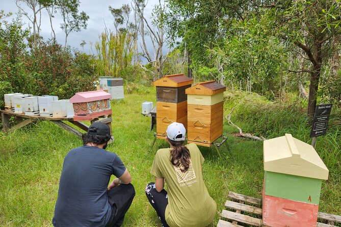 Coastal Nature Full-Day Walking Tour in Lennox Head - Meeting and Pickup Point Information