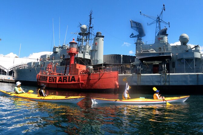 Darling Harbour Explorer - Sea Kayaking Tour - Safety Precautions and Tips