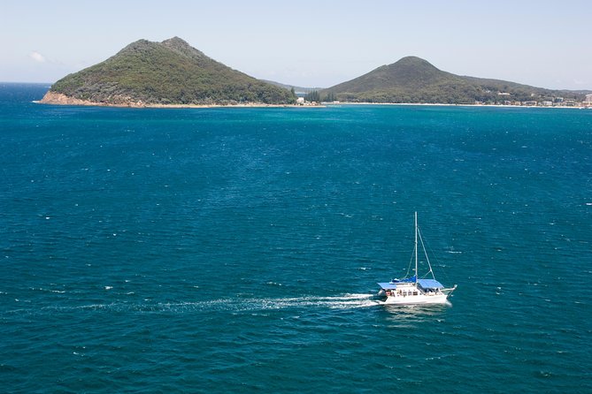 Dolphin Watch + Sailing - Port Stephens - What to Expect on Tour