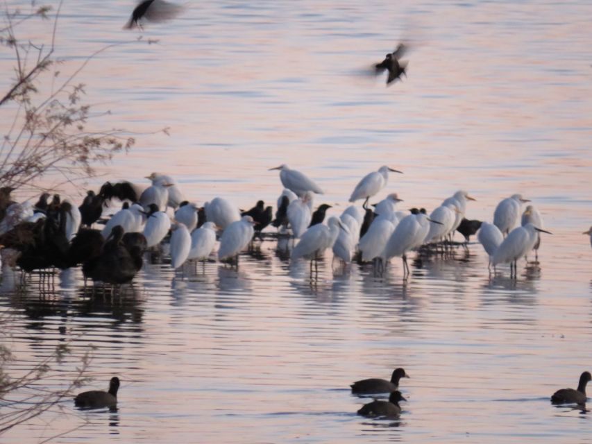 Doñana National Park: 2-Day Tour From Seville - Booking Information