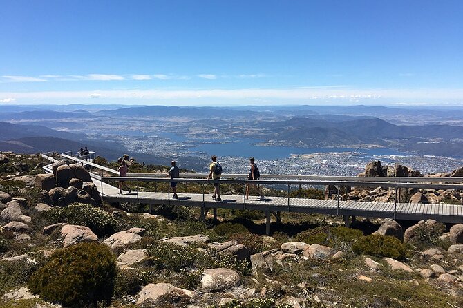 Easy Bike Tour - Mt Wellington Summit Descent & Rainforest Ride - Reviews and Testimonials