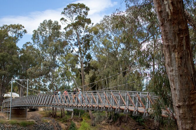 Echuca Guided E-Bike Cycling Tour - Tour Safety and Precautions